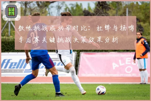 教练挑战成功率对比：杜锋与杨鸣季后赛关键挑战决策效果分析